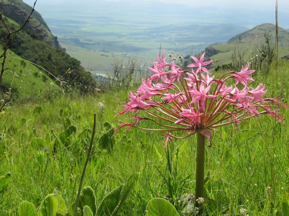 Verlorenkloof Croft 22 Syndicate