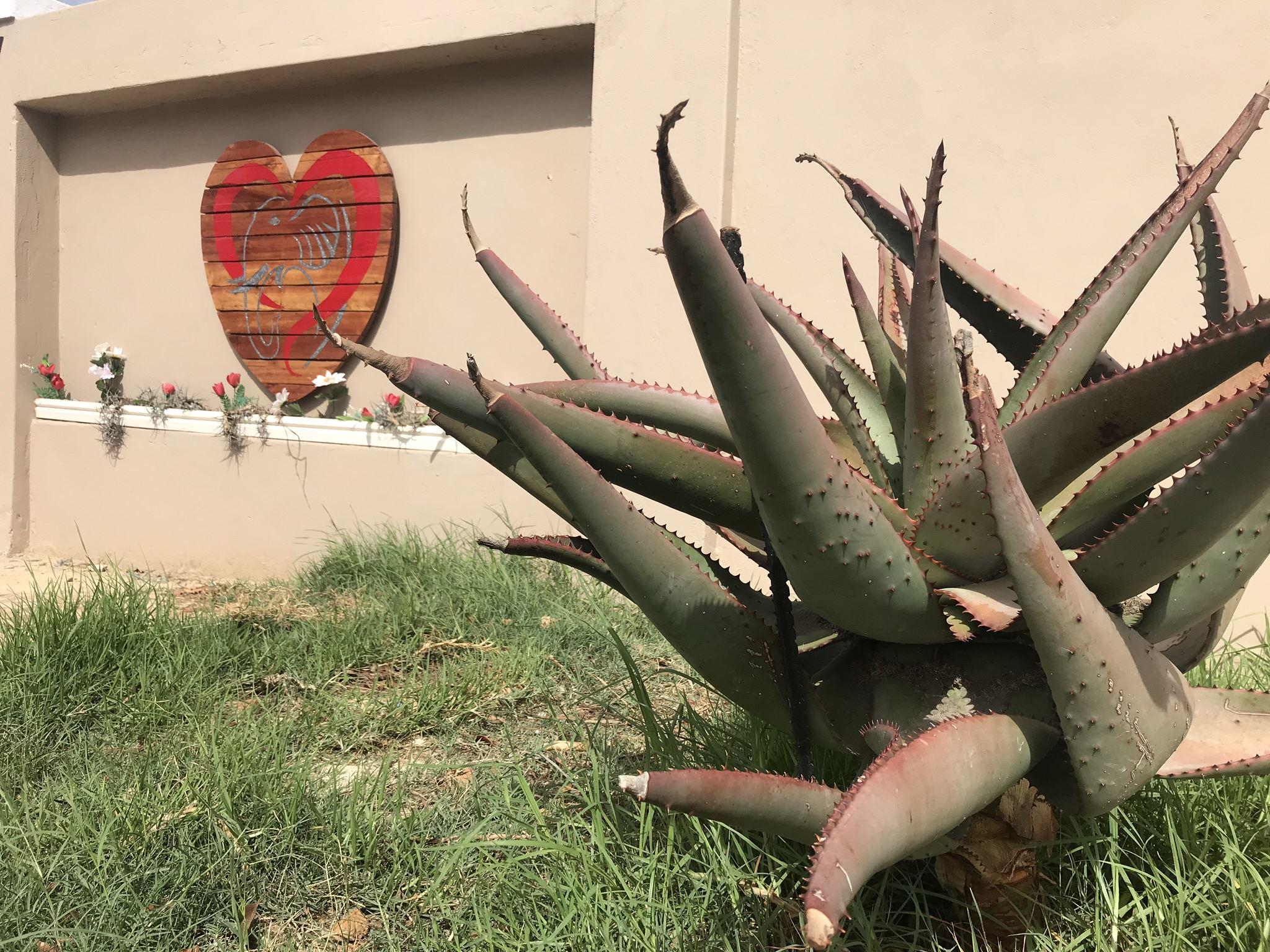 Elephant's Heart Self-Catering Apartments