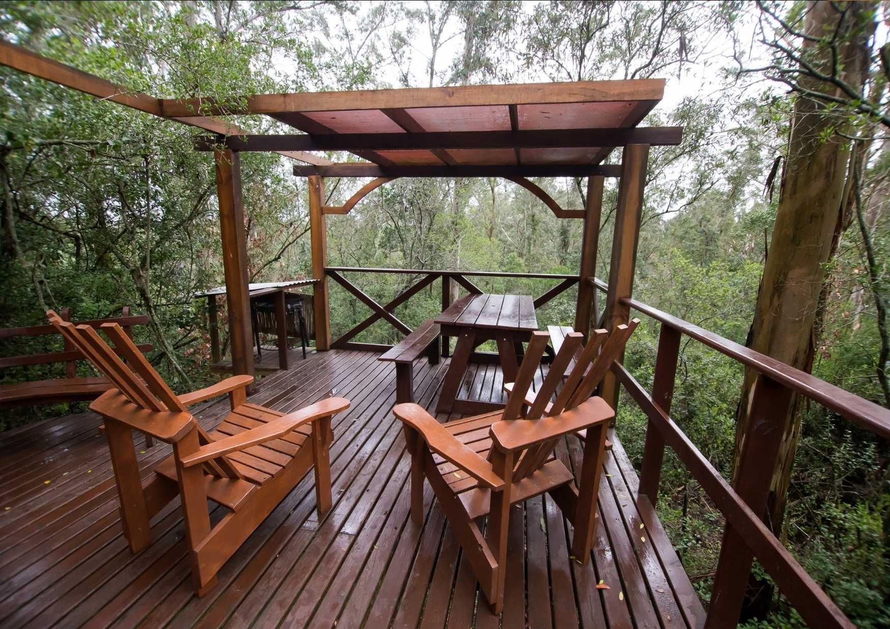 Fern Gully Forest Cabins | Rheenendal Self-catering