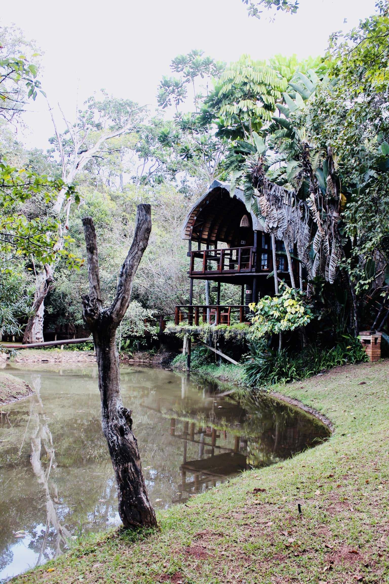 Serenity Mountain and Forest Lodge
