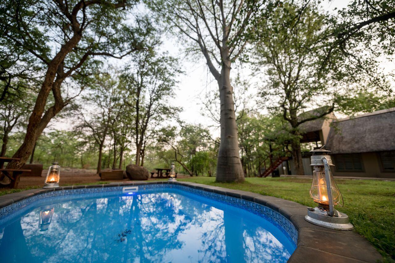 Kruger Bush Camp