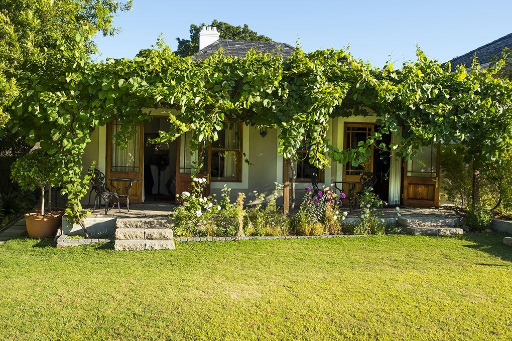 Agapanthus Row | Rondebosch Self-catering