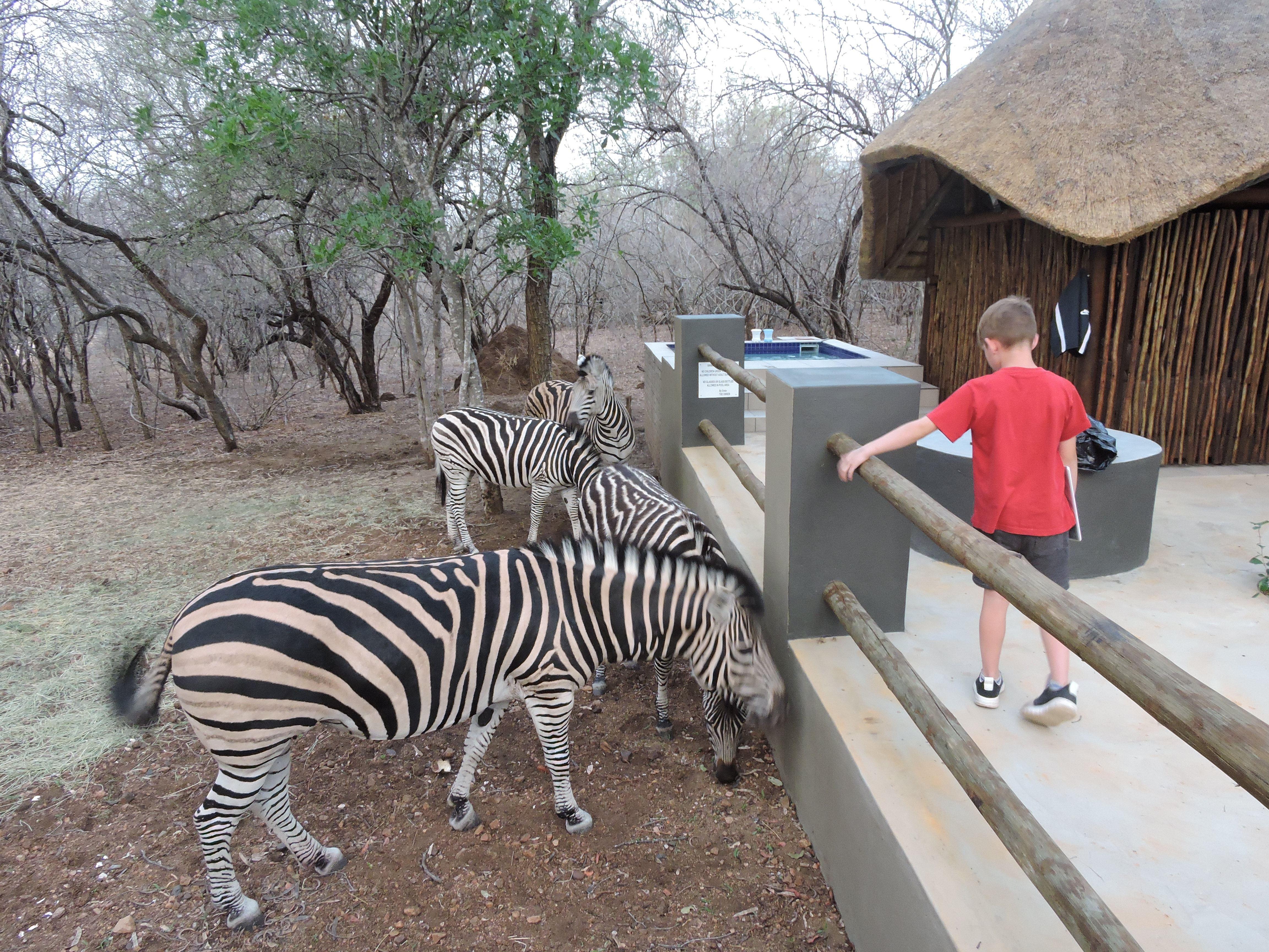 African Bush Backpackers | Accommodation Marloth Park
