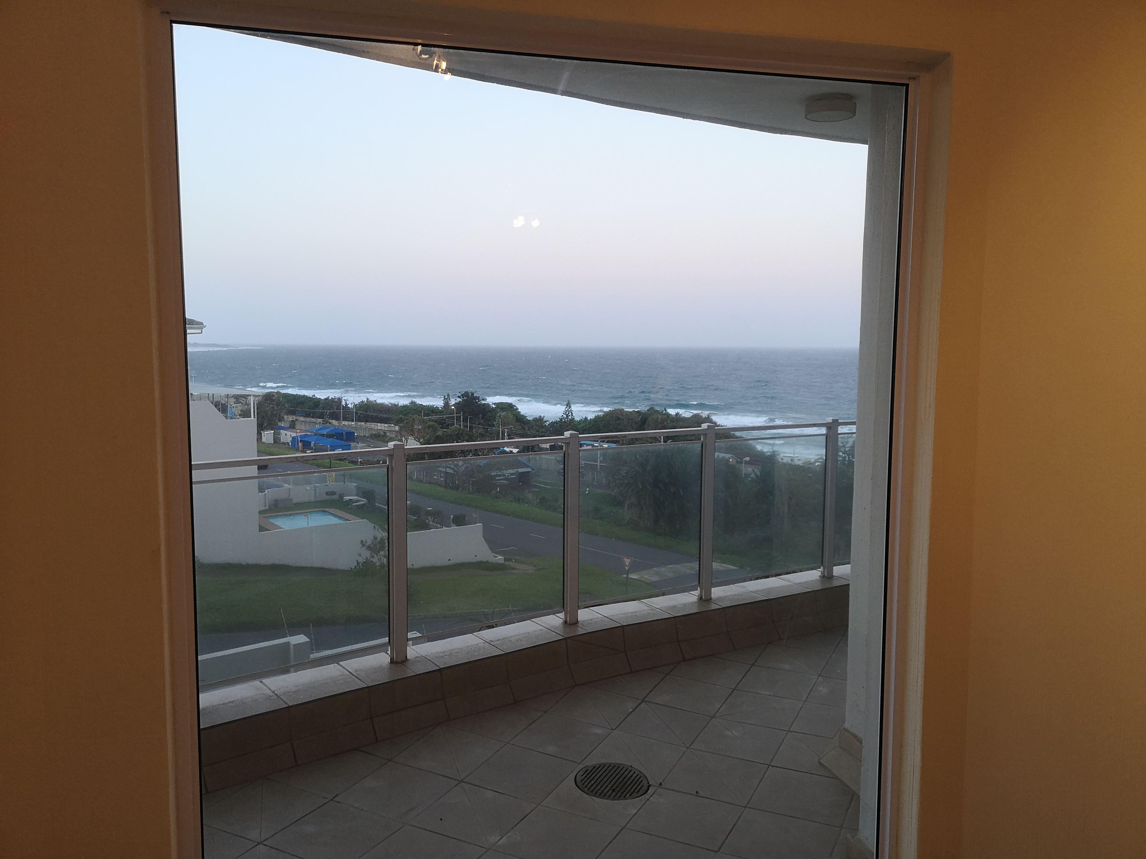 Seahorse | South Coast Specials
