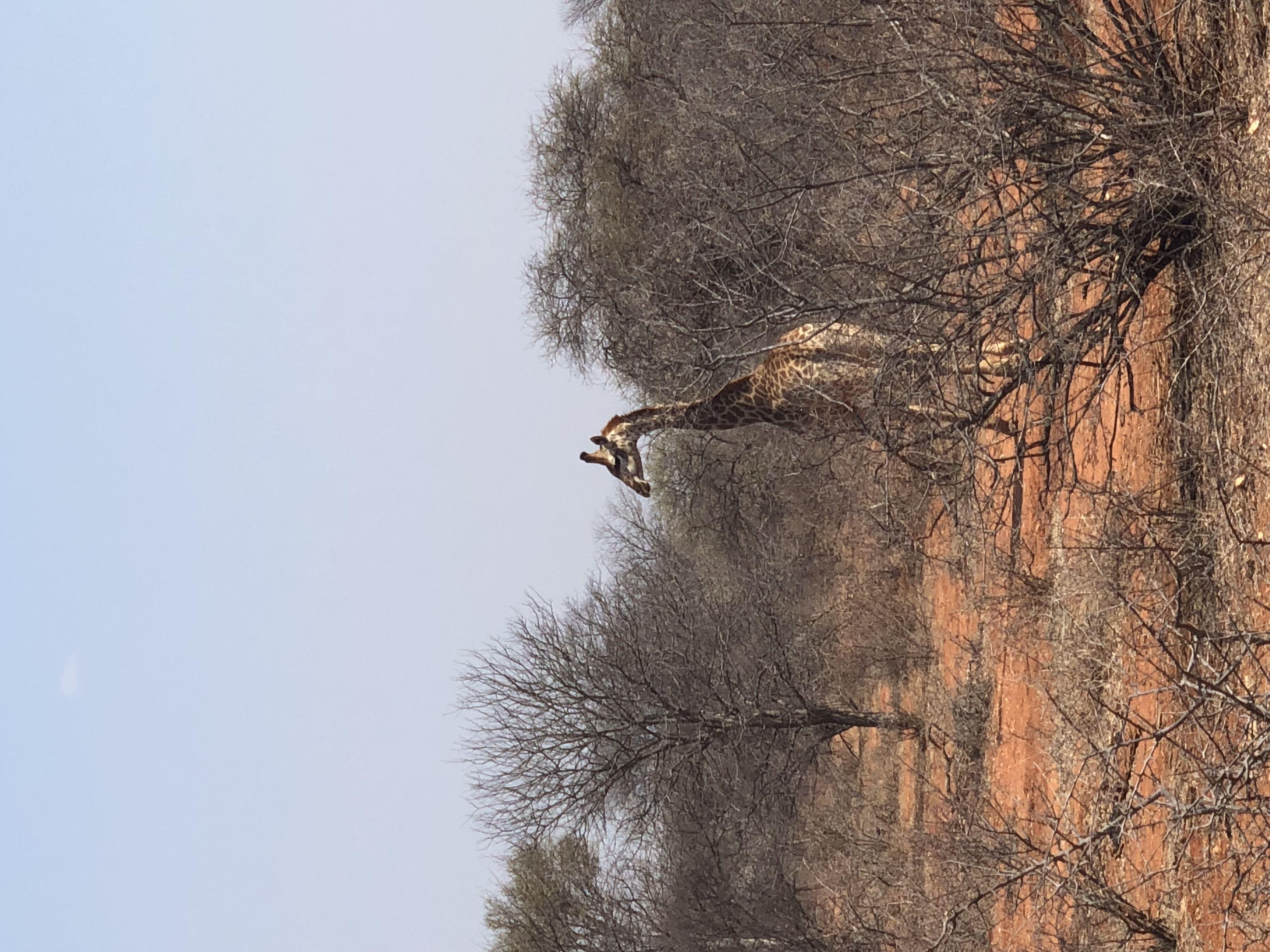  Stevensford Game Reserve | Accommodation Martins Drift