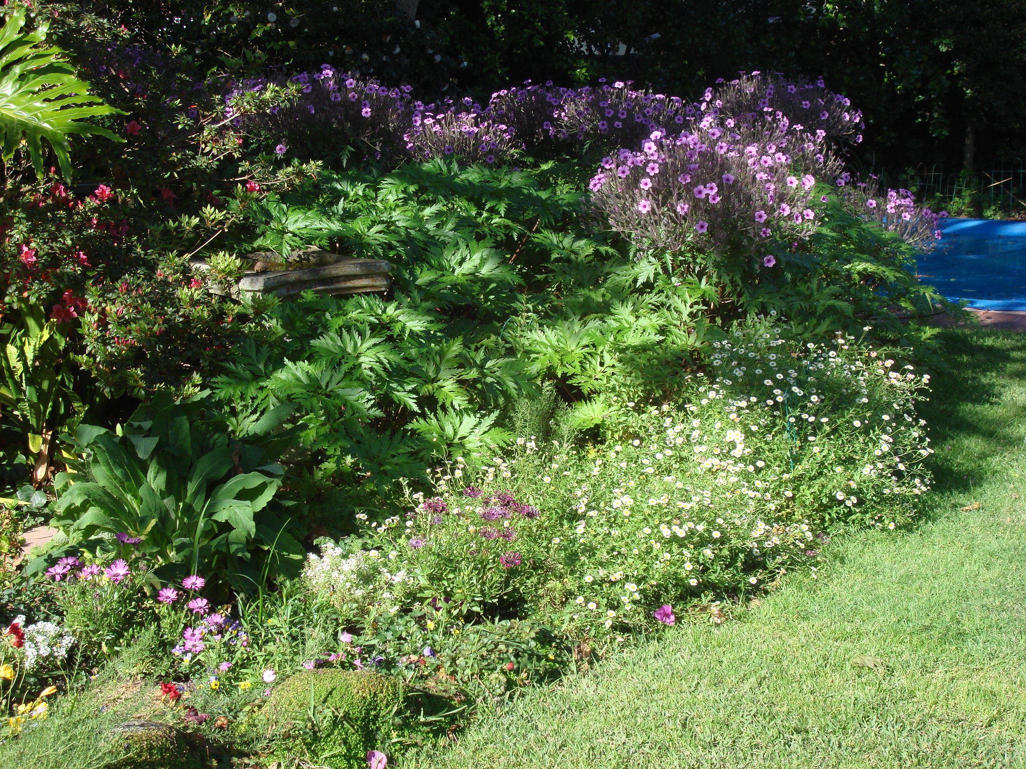 MAYFIELD COTTAGES | Rondebosch Self-catering