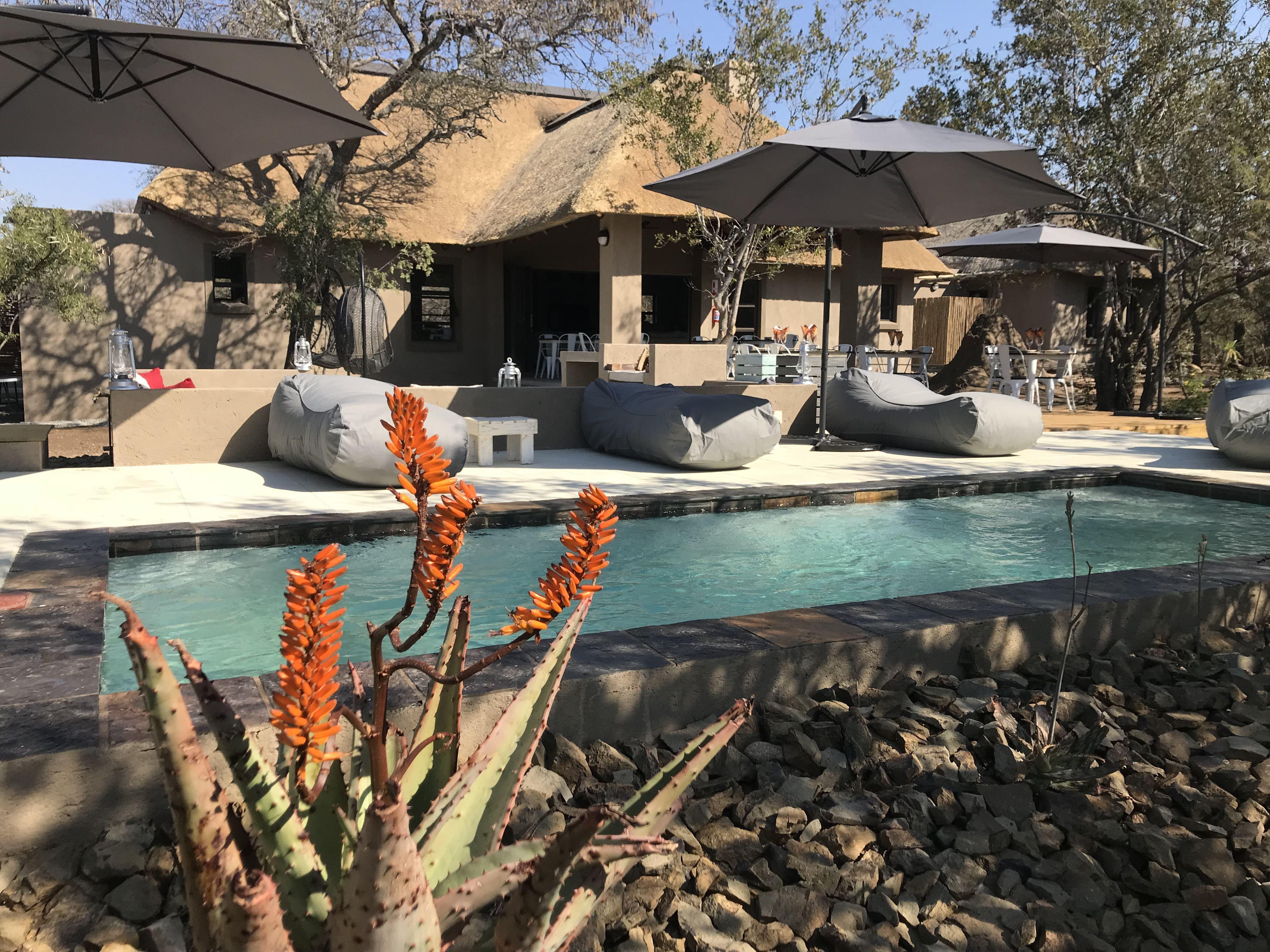 Lindiwe Safari Lodge | Hoedspruit Accommodation
