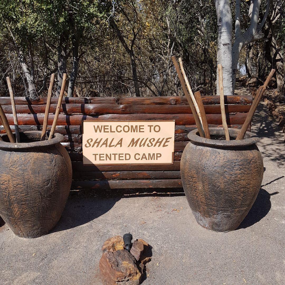 Shala Mushe Tented Camp @ Lodge | Mabalingwe Nature Reserve Accommodation