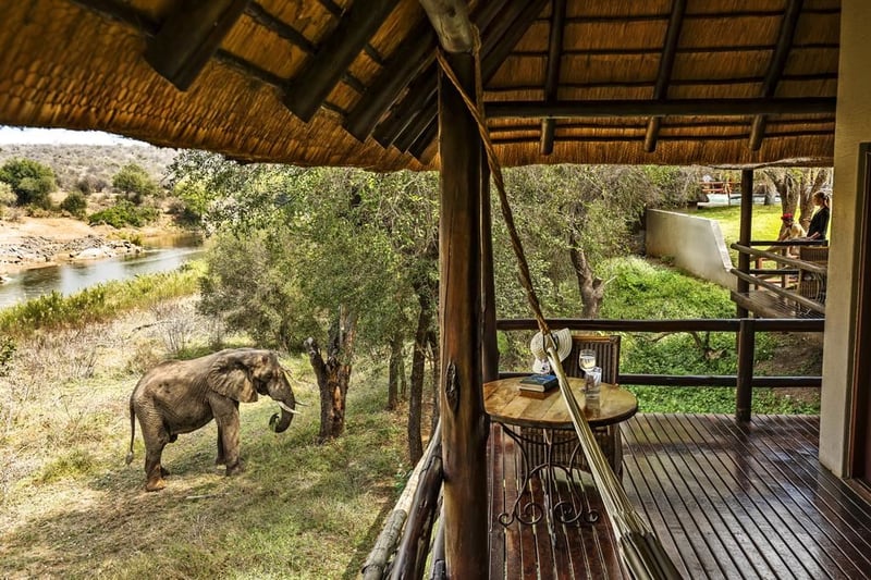 nyati safari lodge addo