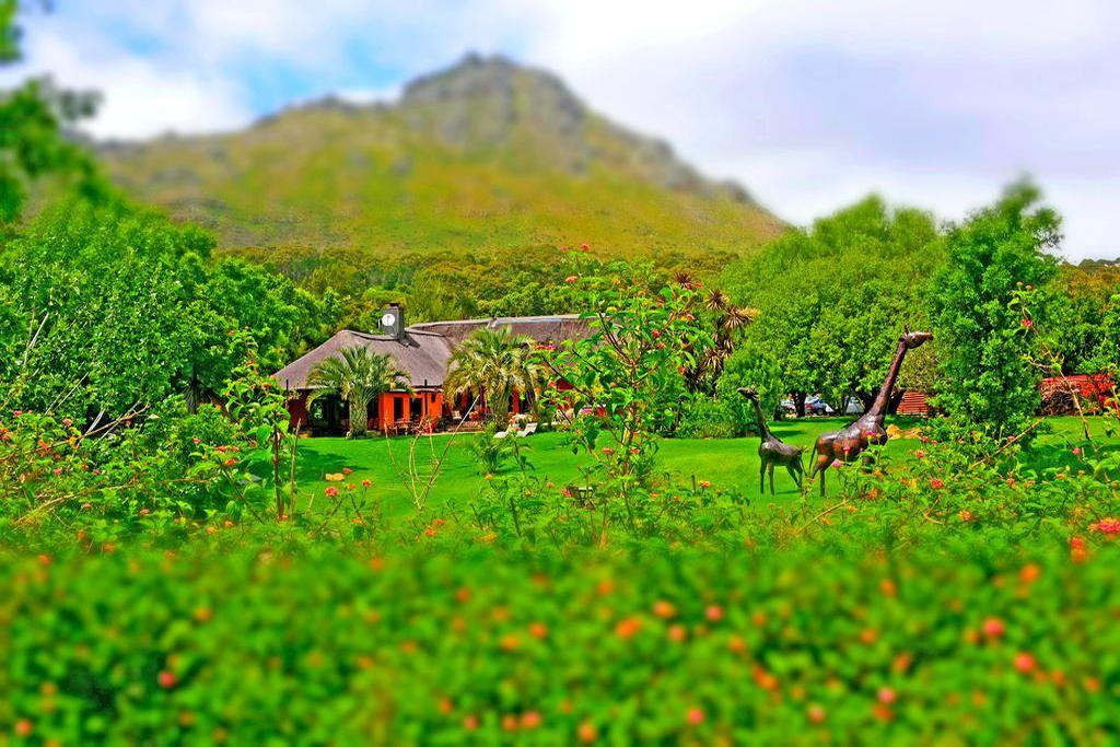 Thulani River Lodge | Hout Bay Specials