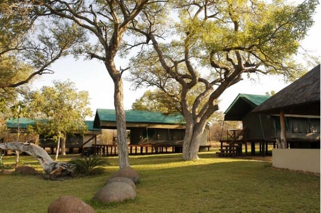 Nkelenga Tented Camp | Thornybush Game Reserve Accommodation