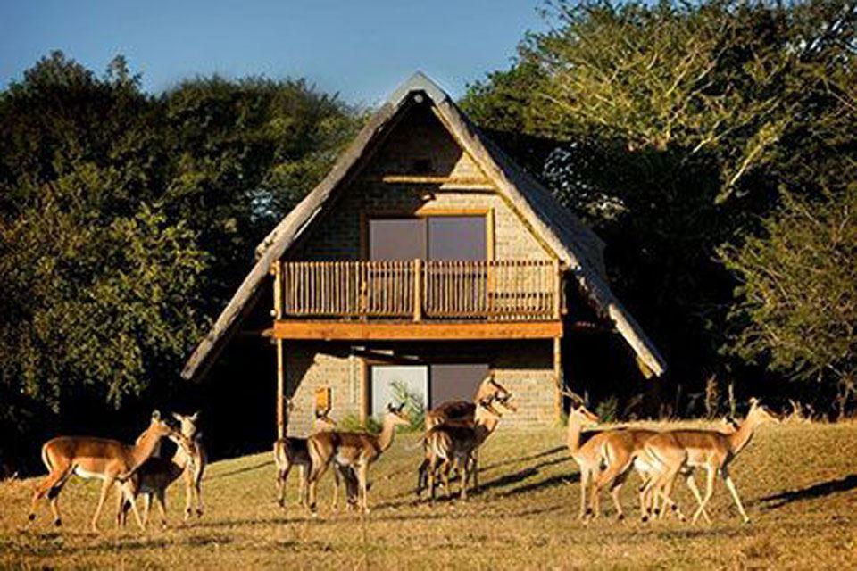 Amorello | Accommodation Hluhluwe Game Reserve and surrounds