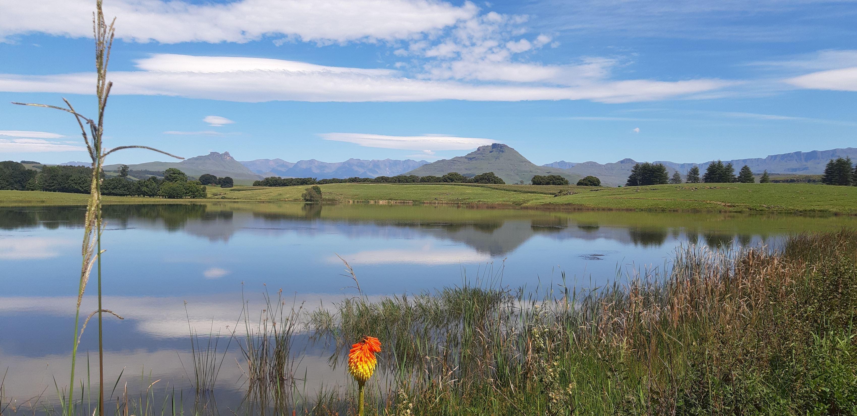 Riverlea Farm | Accommodation Underberg
