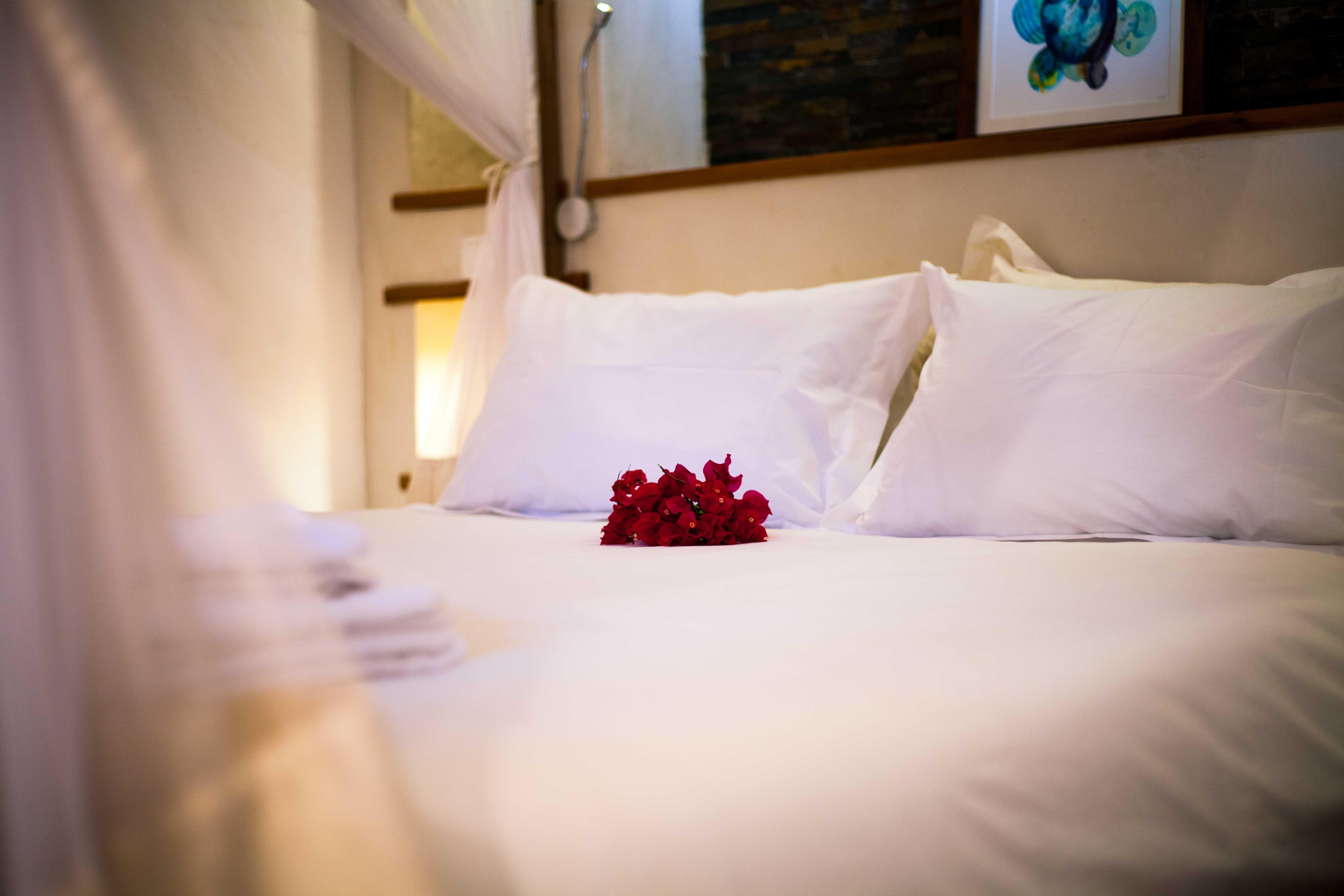 Sumi | Accommodation Praia do Tofo