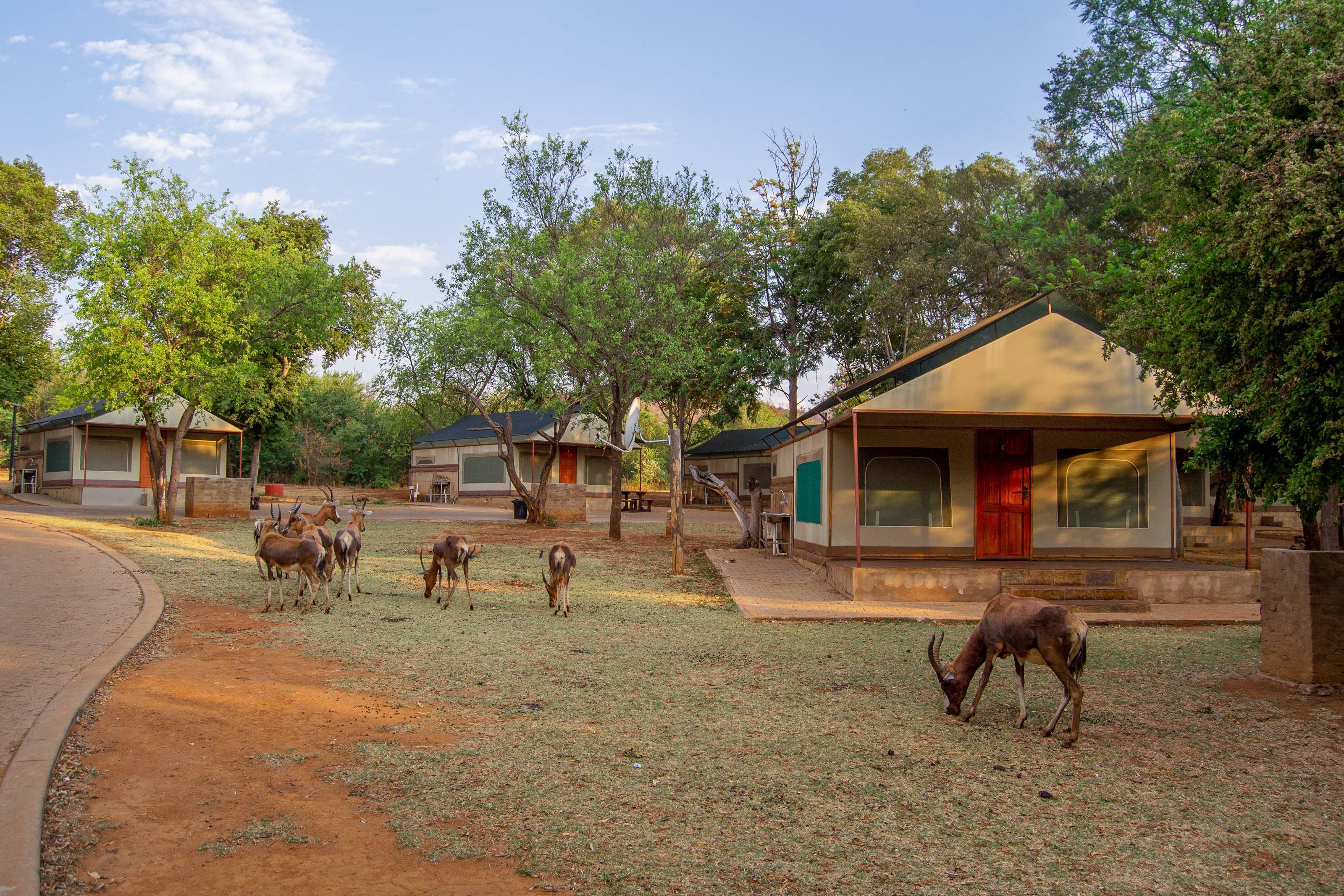 Eagle Waters Wildlife Resort | Accommodation Hartbeespoort