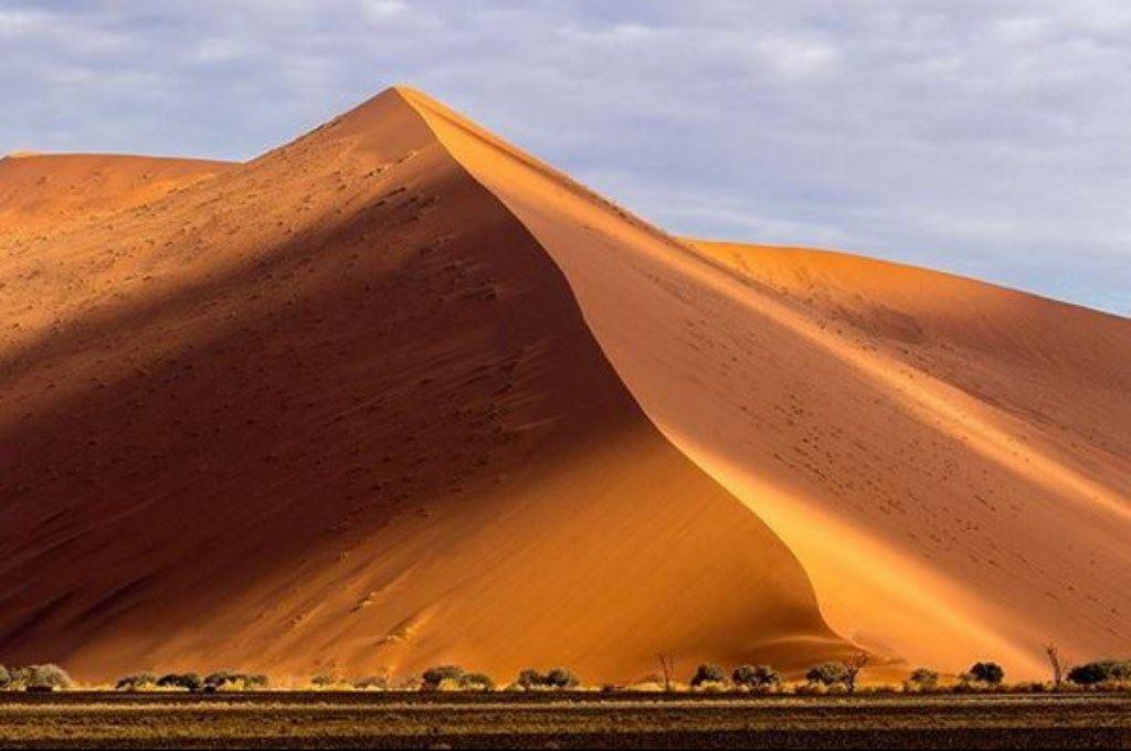Desert Beach and Bush (Namibia)