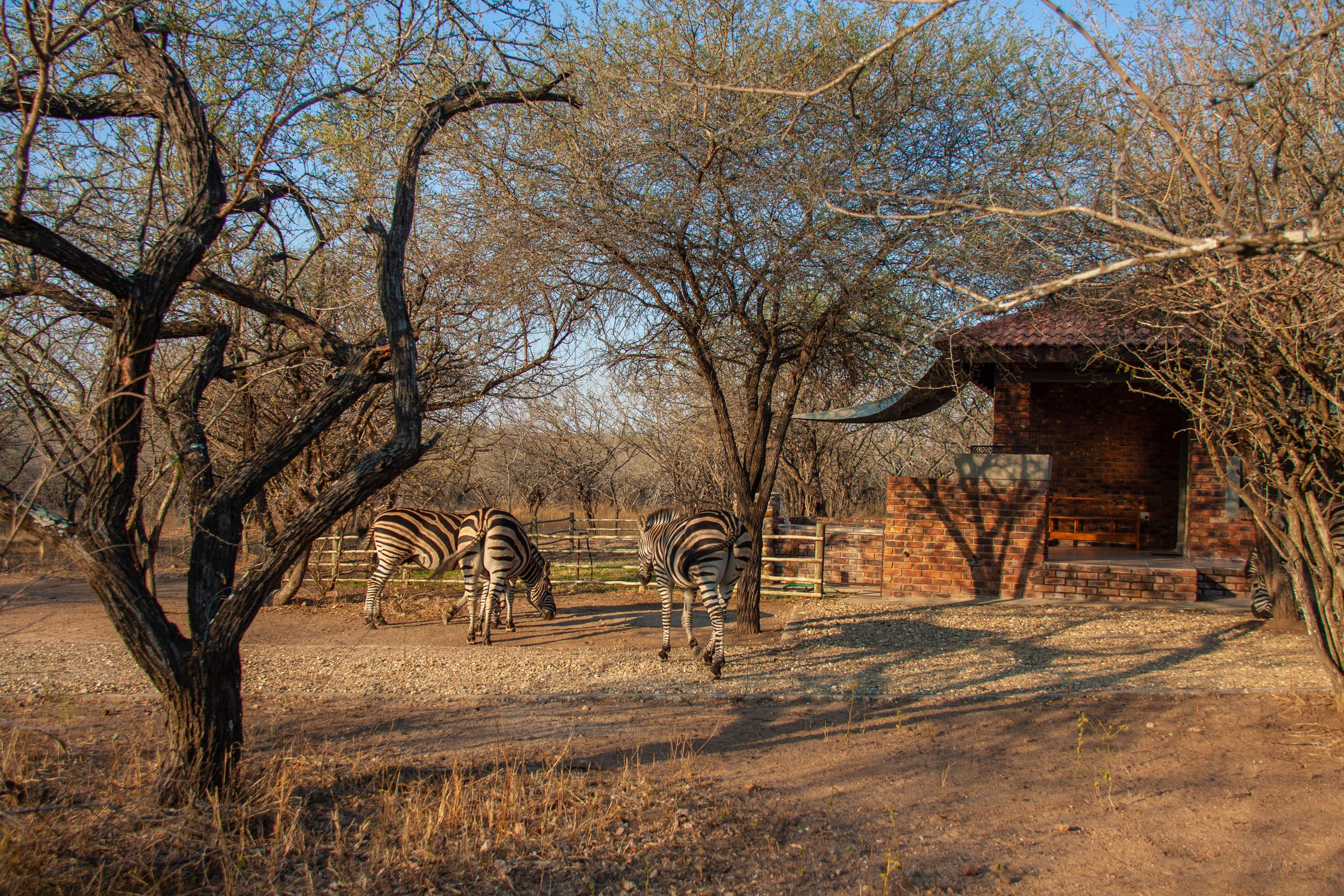Marloth Sanbonani | Marloth Park Accommodation