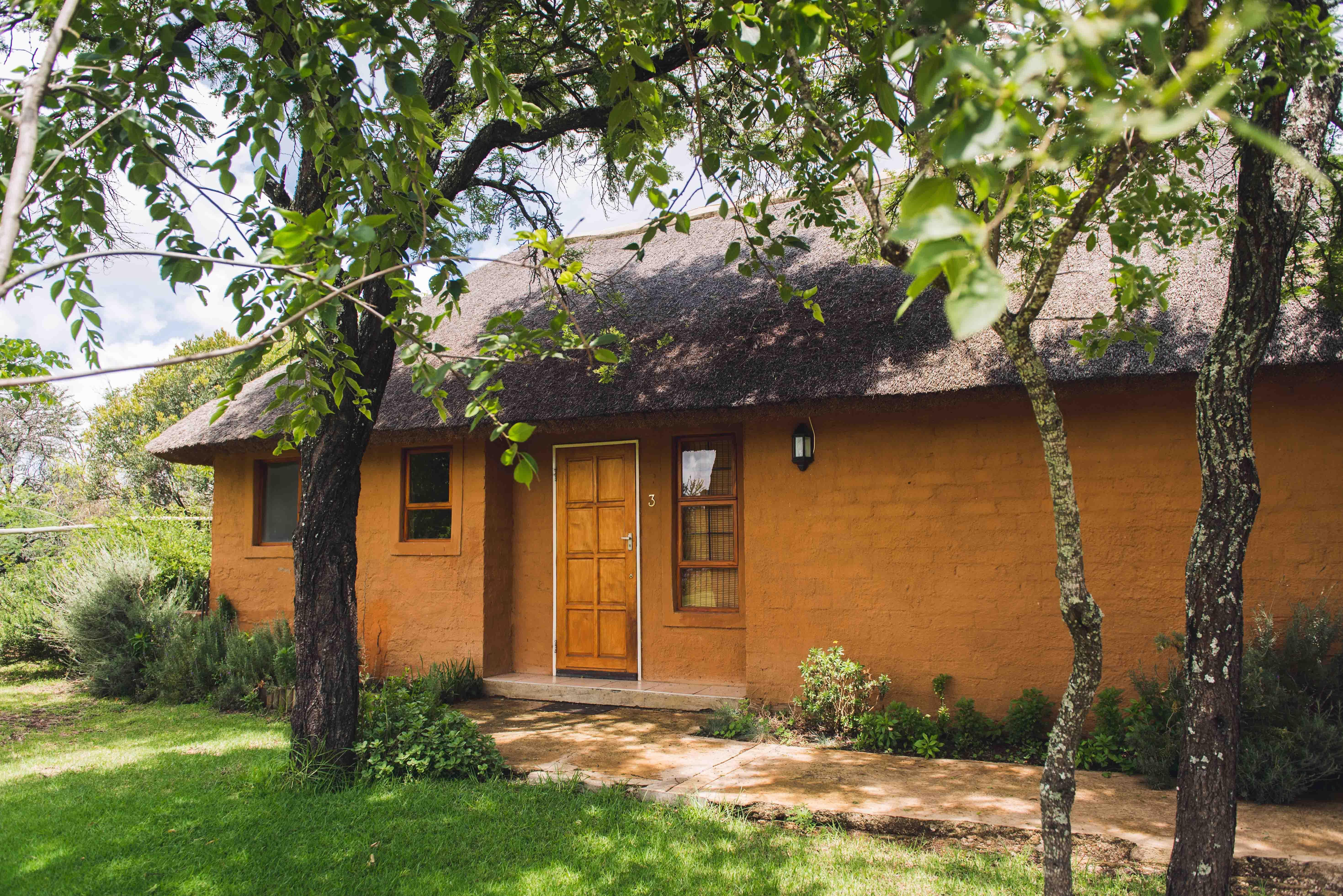 Wildthingz Lodge | Accommodation Polokwane (Pietersburg)