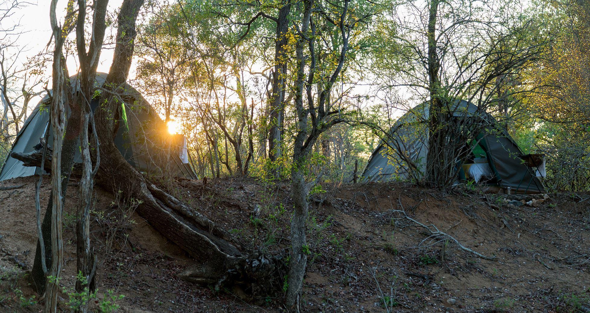 Natural Earth Trails Camp | Makalali Private Game Reserve Accommodation