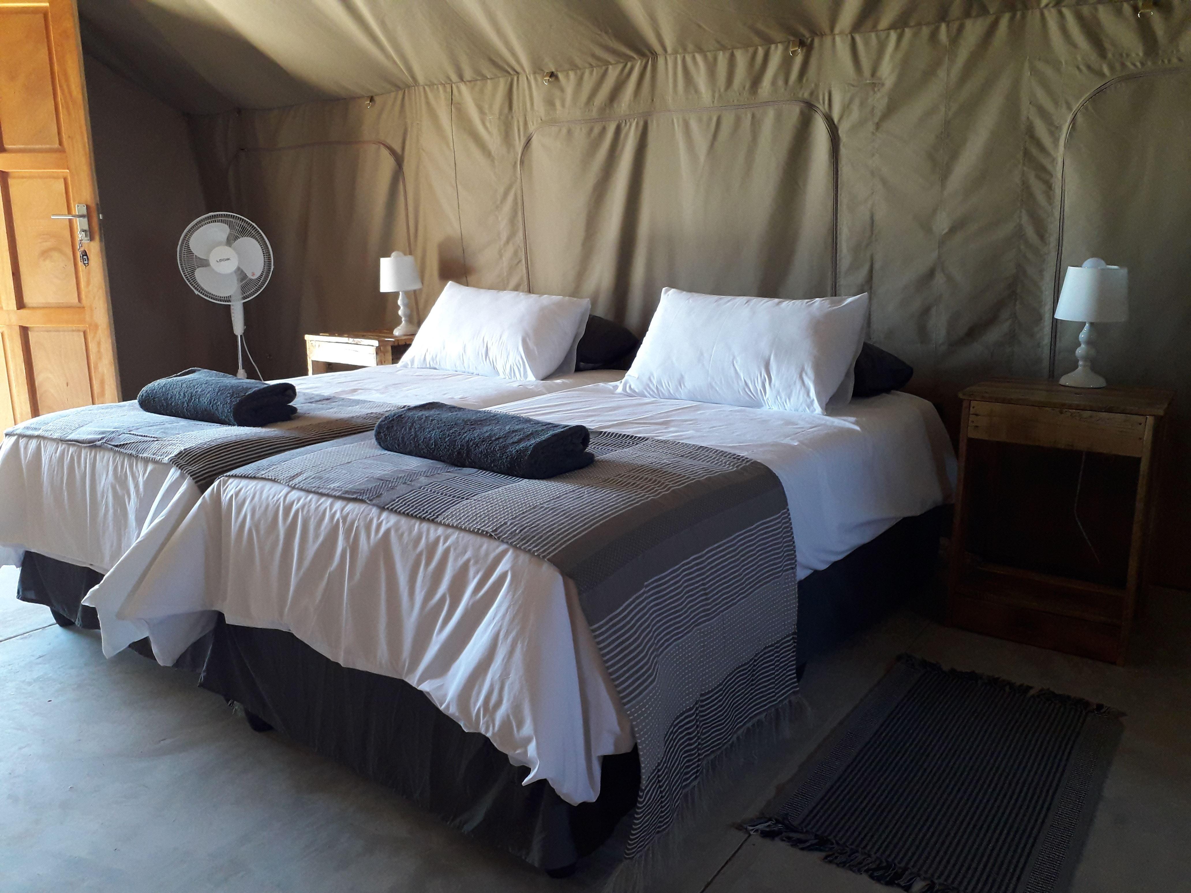 Accommodation at Blue Bushman Luxury Tented Lodge & Camping