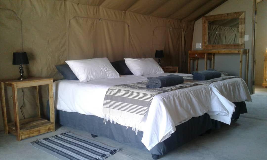 Stay at Blue Bushman Luxury Tented Lodge & Camping