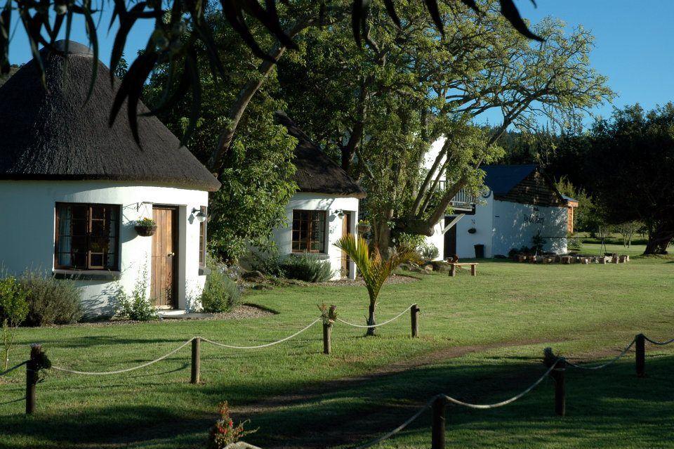 Bella Manga Country Escape | Plettenberg Bay Self-catering