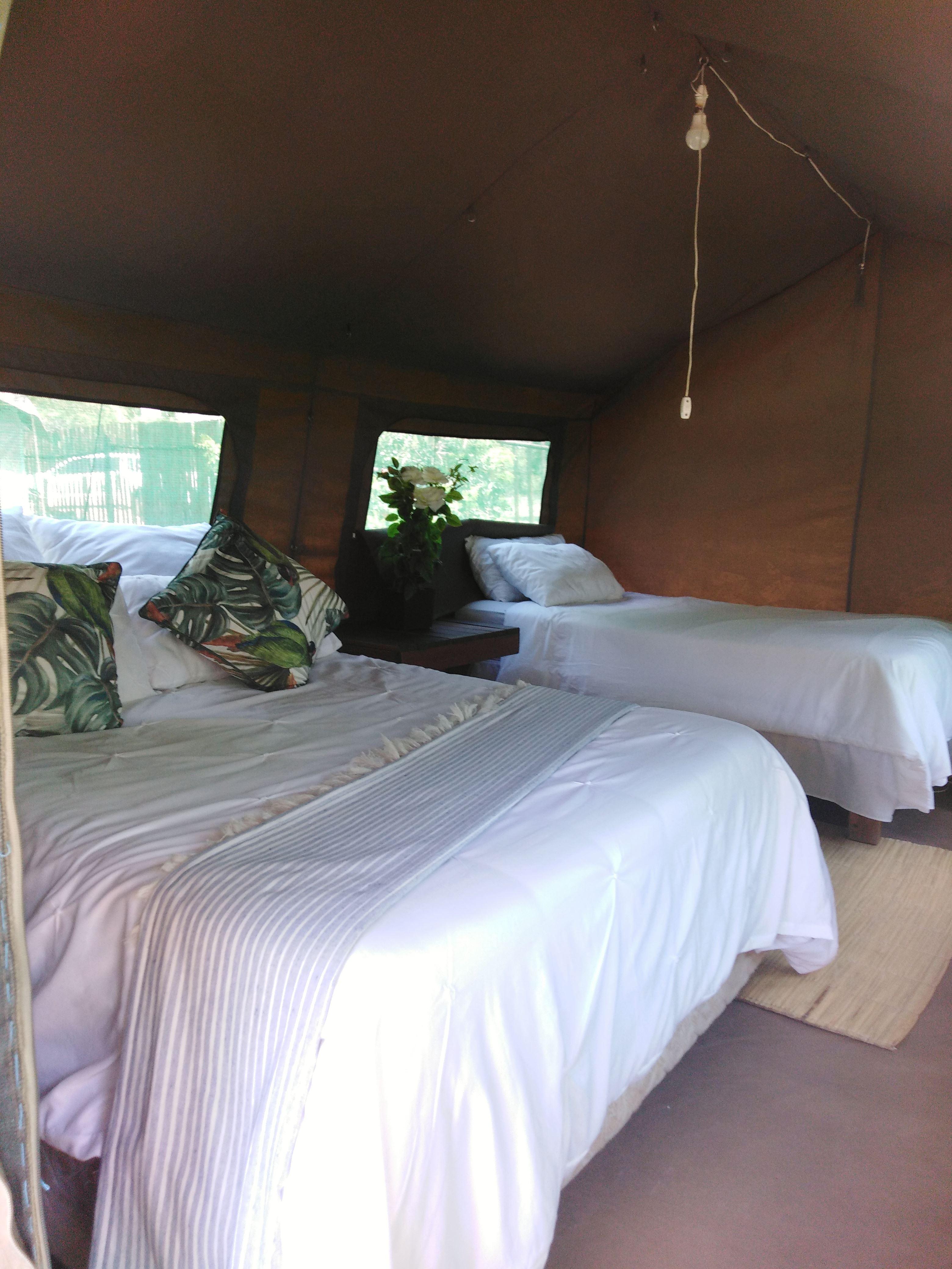 Kruger- Andova Tented Camp | Andover Nature Reserve Lodges