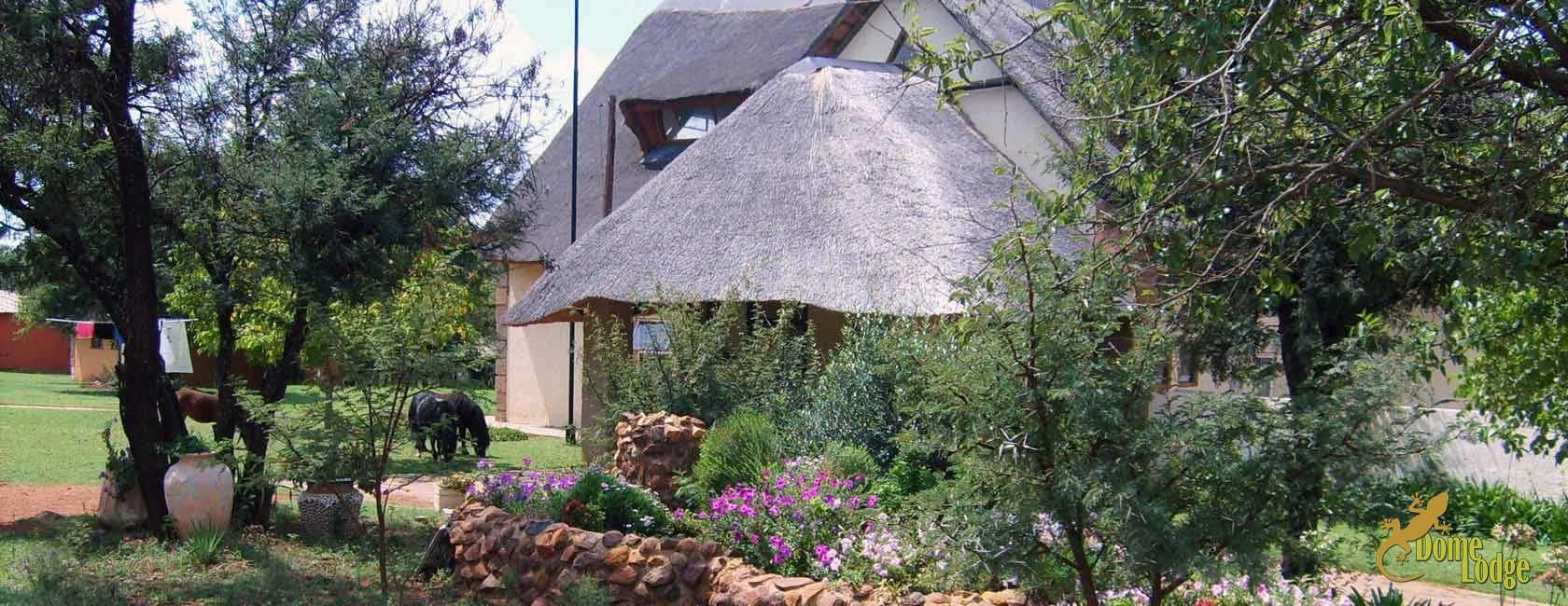 The Gecko Inn | Venterskroon Lodges