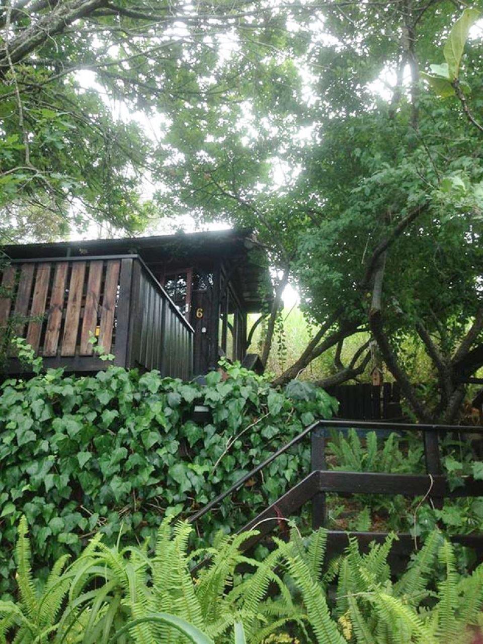 KnysnaGlampackers | Knysna Central Accommodation
