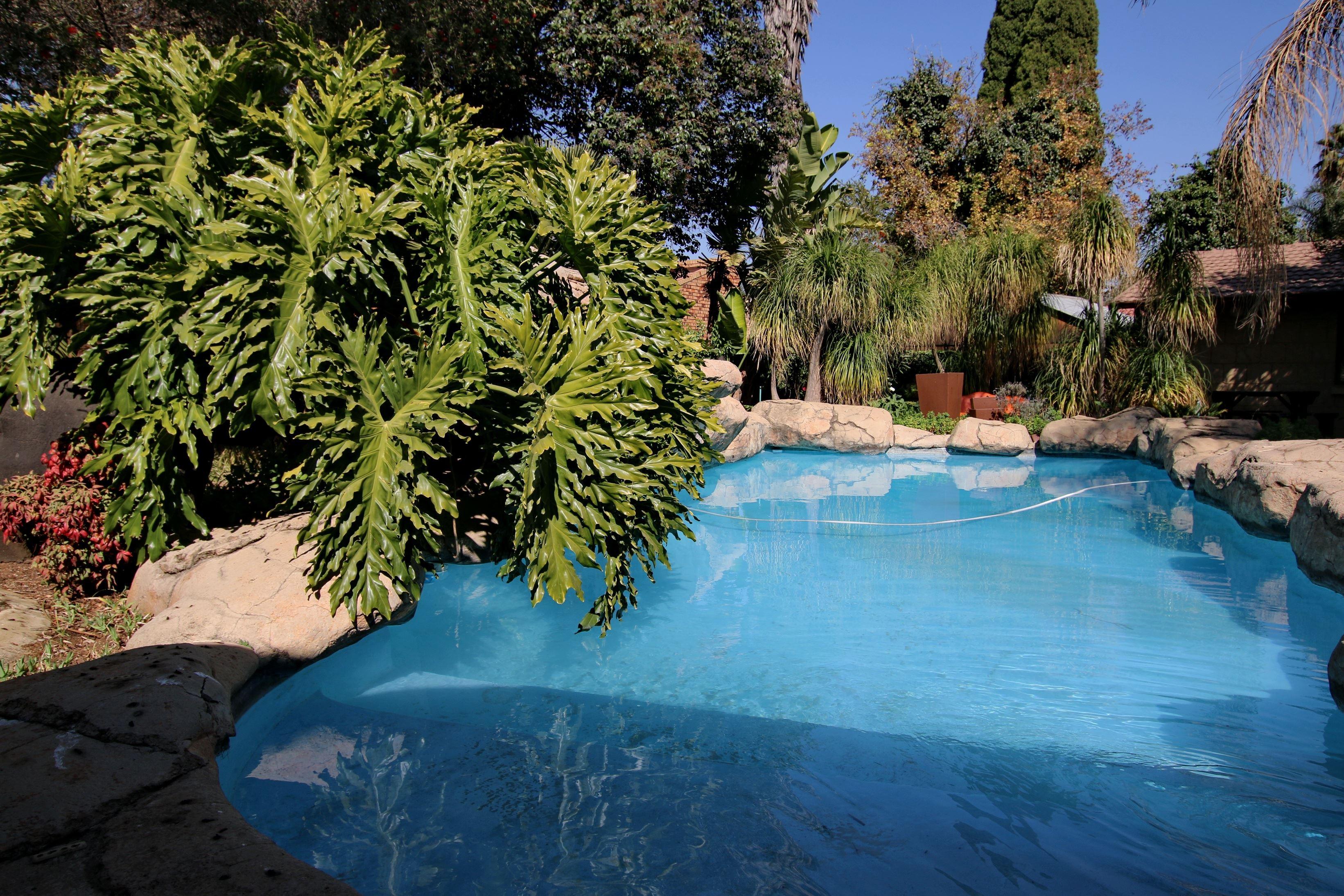 Summer Garden Guest House (The Palms) | Farrarmere Accommodation
