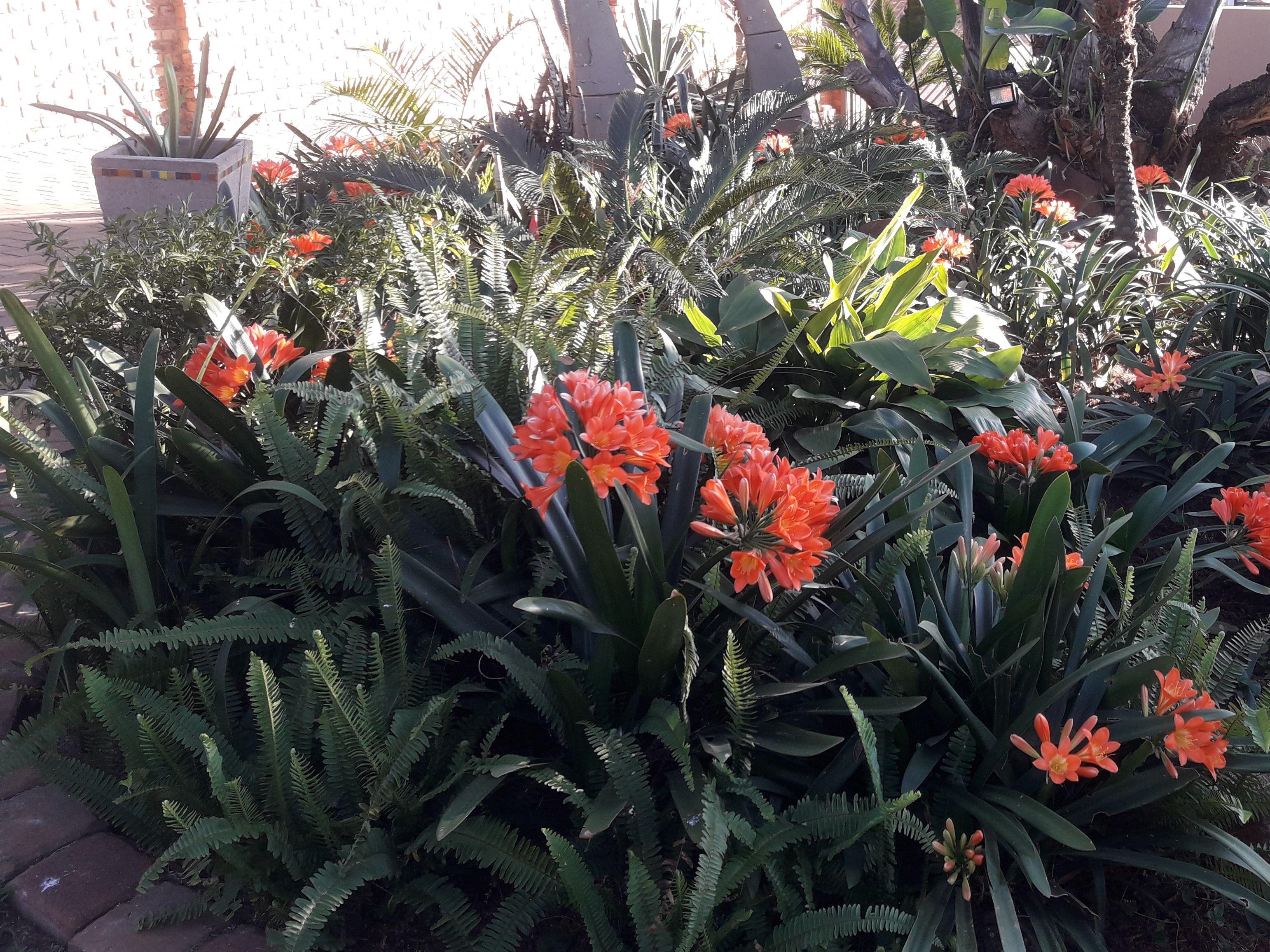 Helberg Bed and Breakfast | Accommodation Moreleta Park