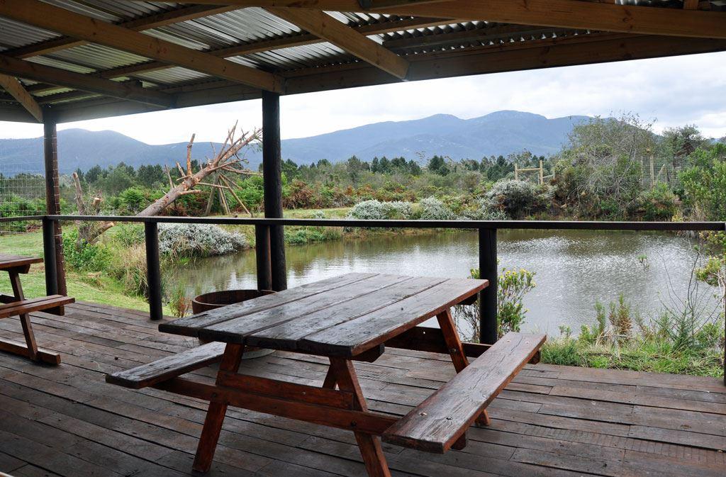 Tenikwa Family Suites | Self-catering The Crags