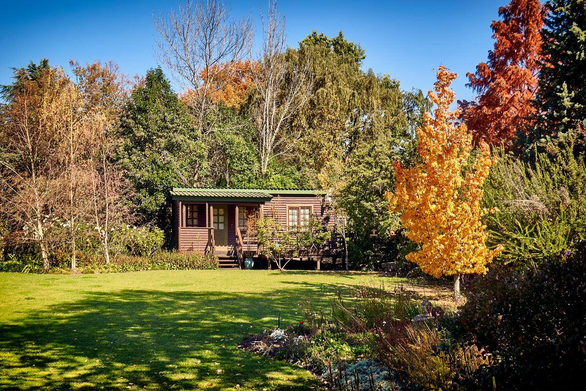 Forest Lane | Eastern Free State Specials