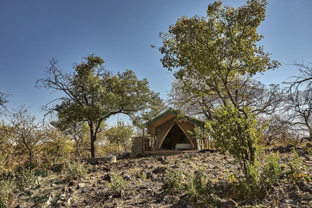 Zuri.Camp