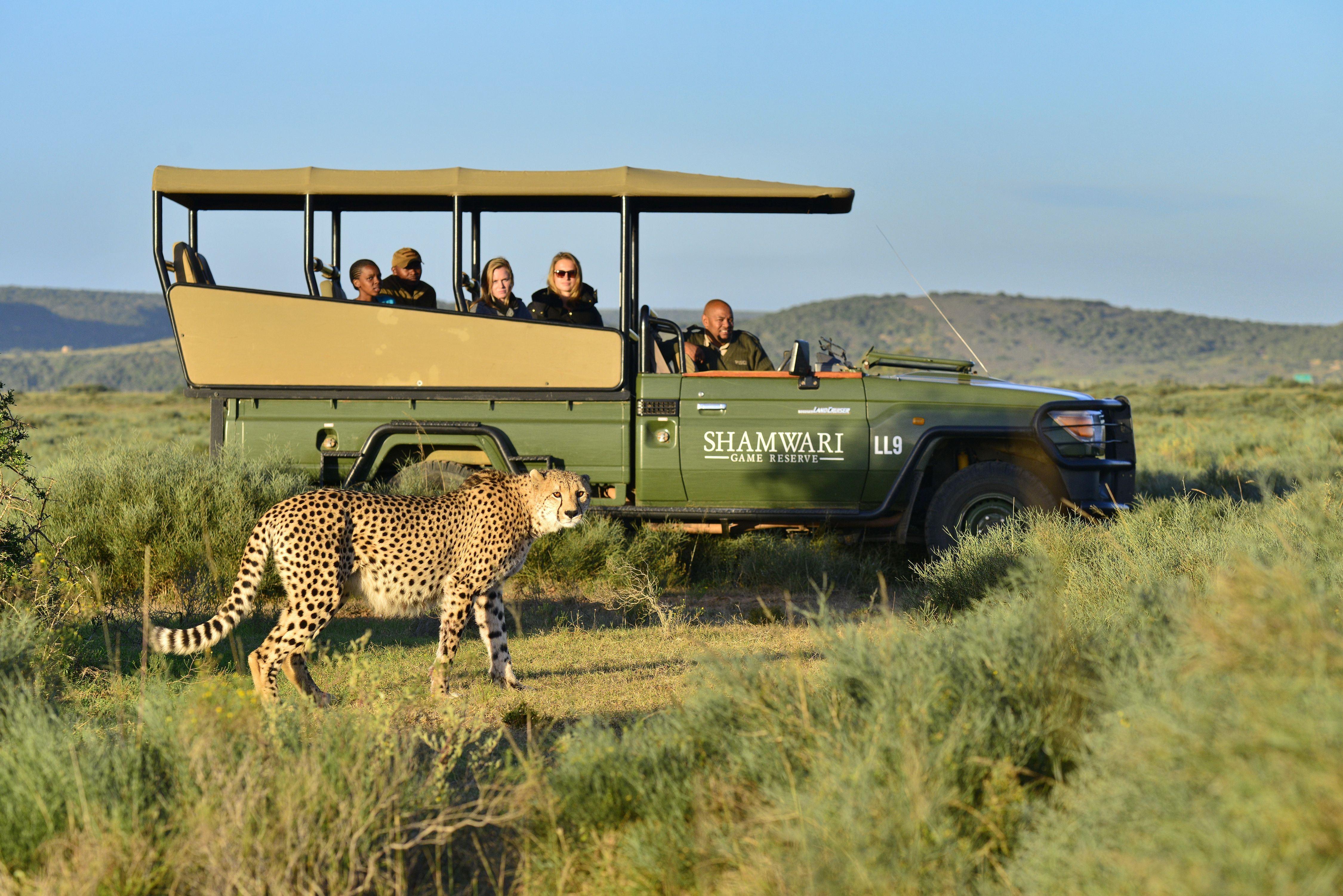 Shamwari Sindile | Shamwari Game Reserve Accommodation