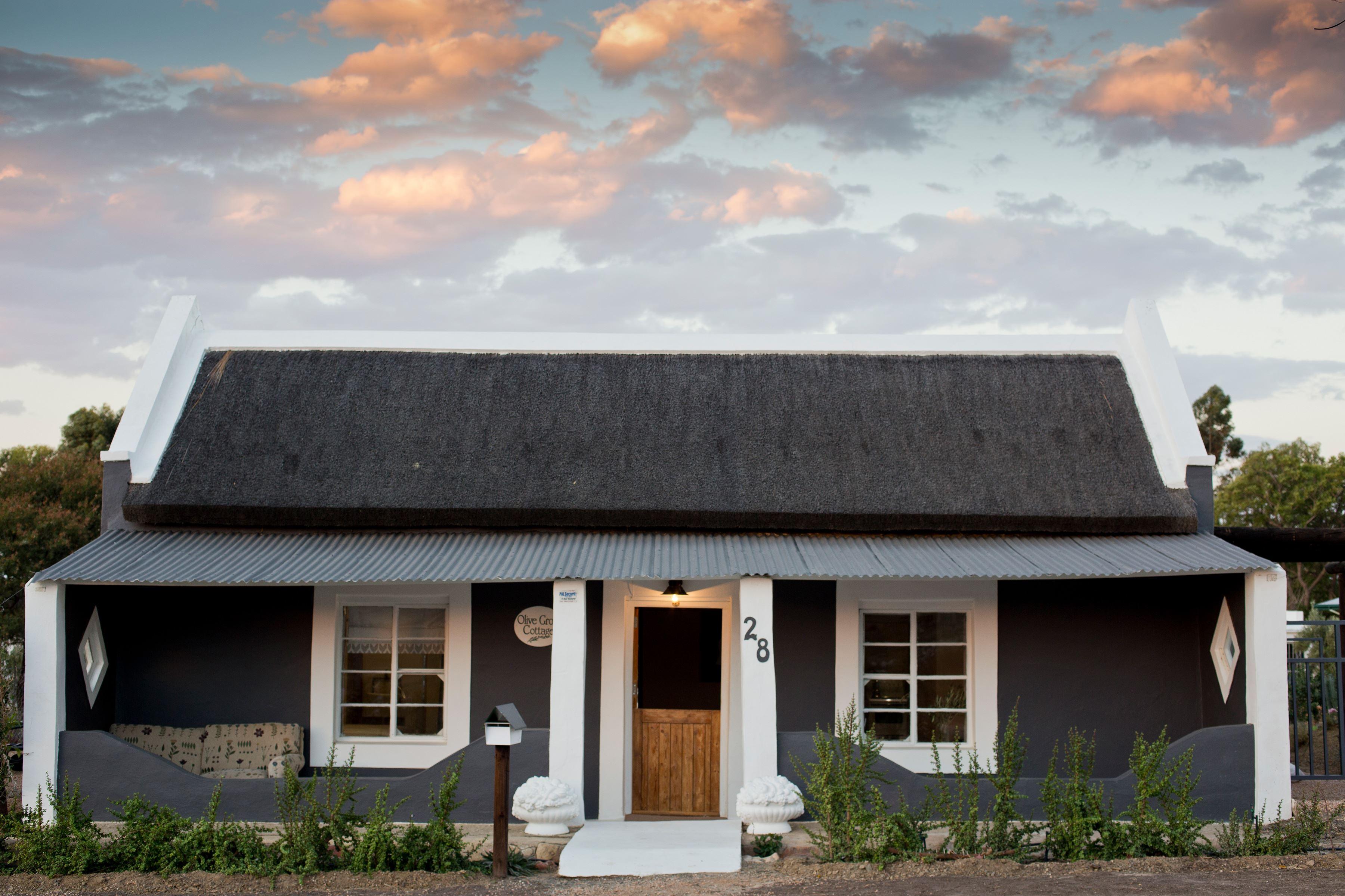 Olive Grove Cottage | Accommodation Prince Albert