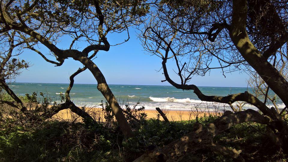 Trevi A | Accommodation Shelly Beach (KZN)