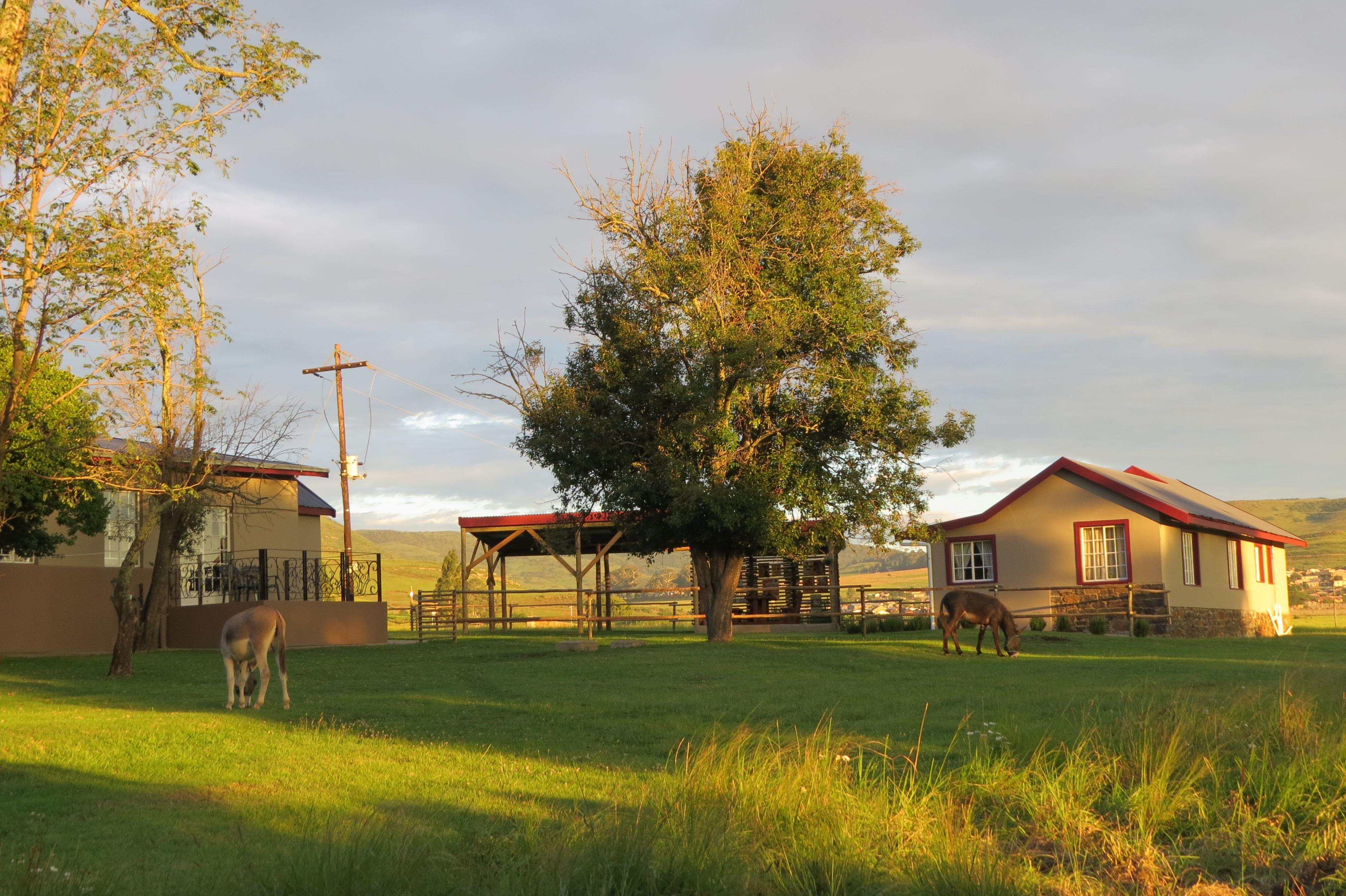 Hare's Rest | Wakkerstroom Accommodation