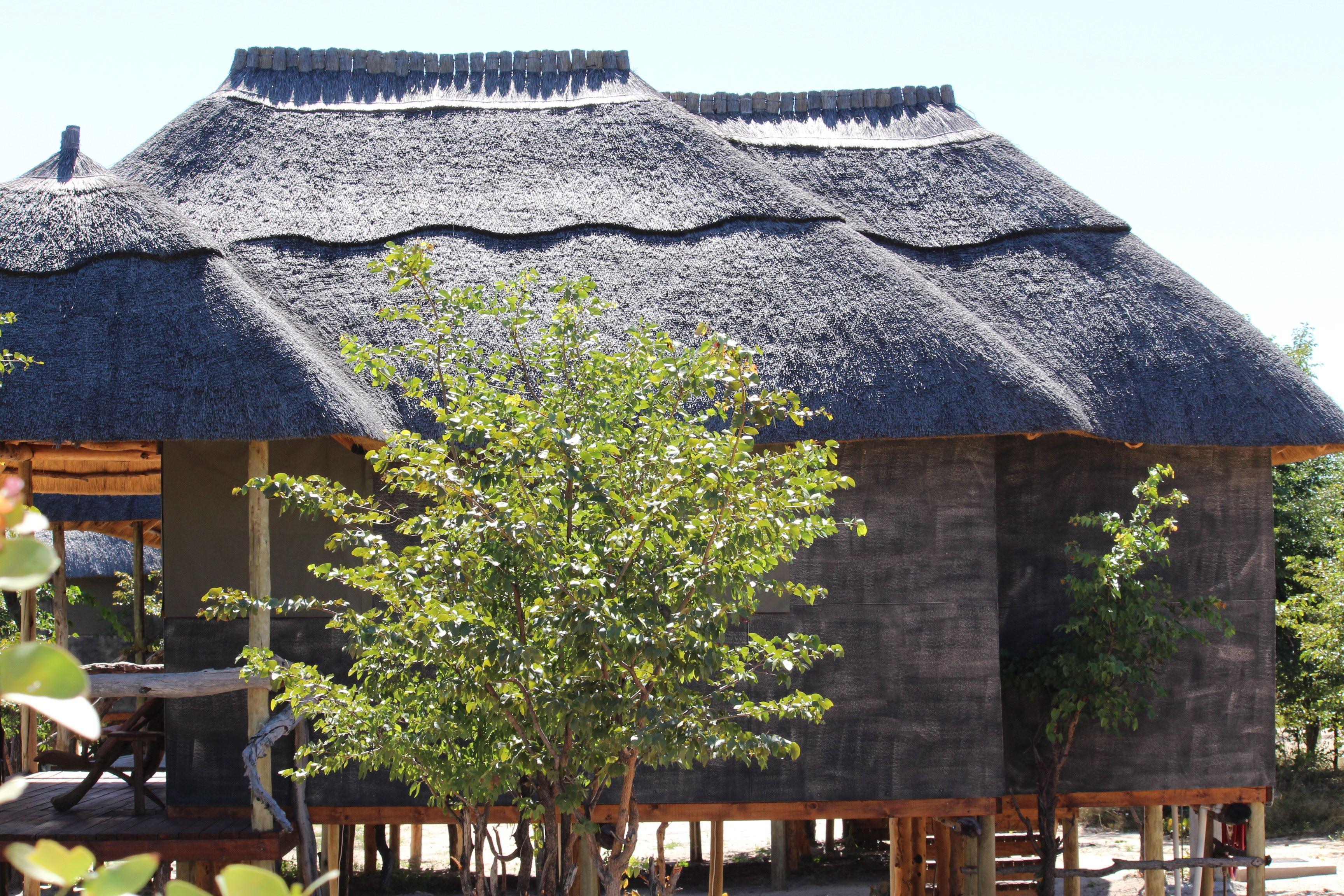 Dzibanana Lodge & Camping | Botswana Specials