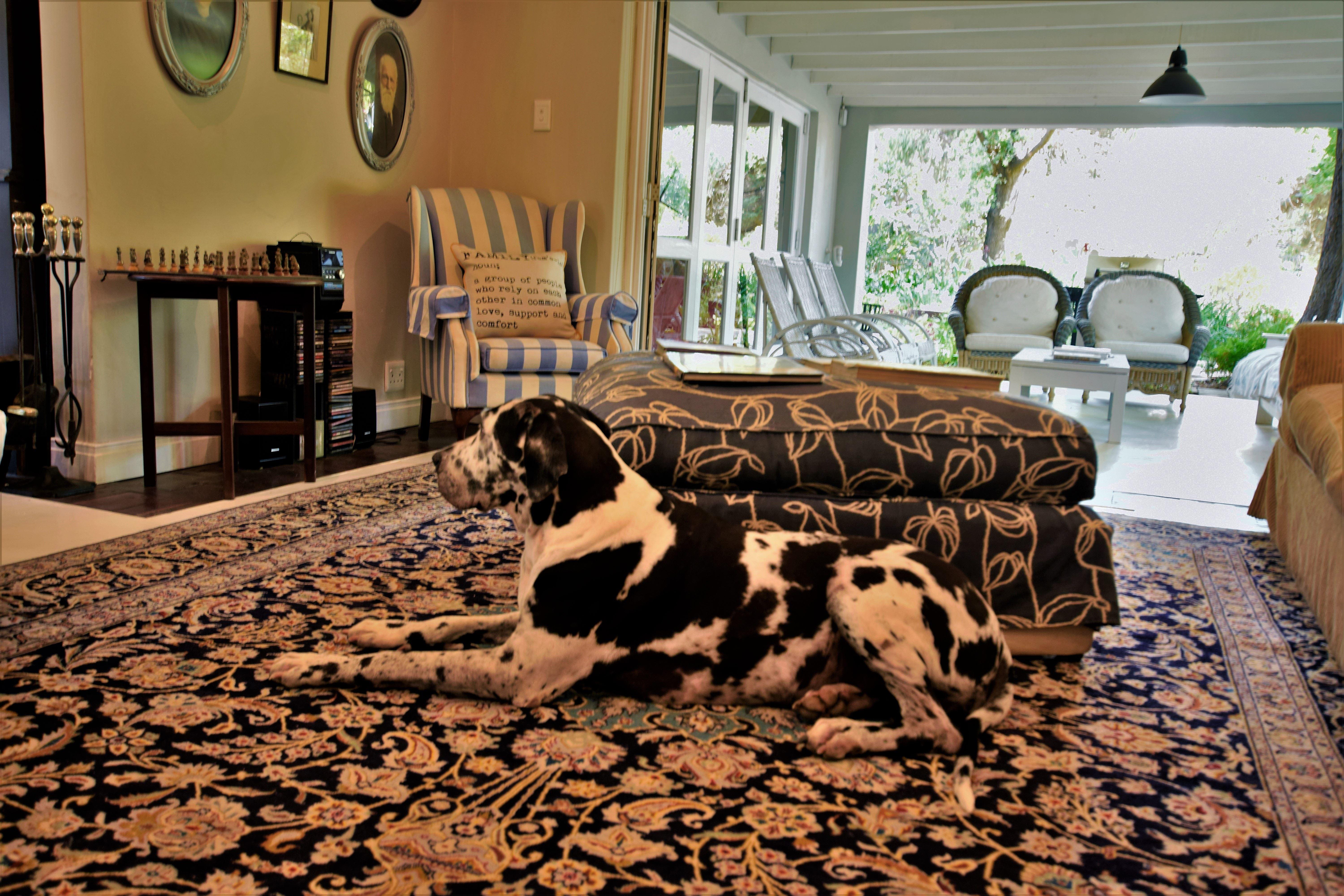 Under the Oak Bed and Breakfast