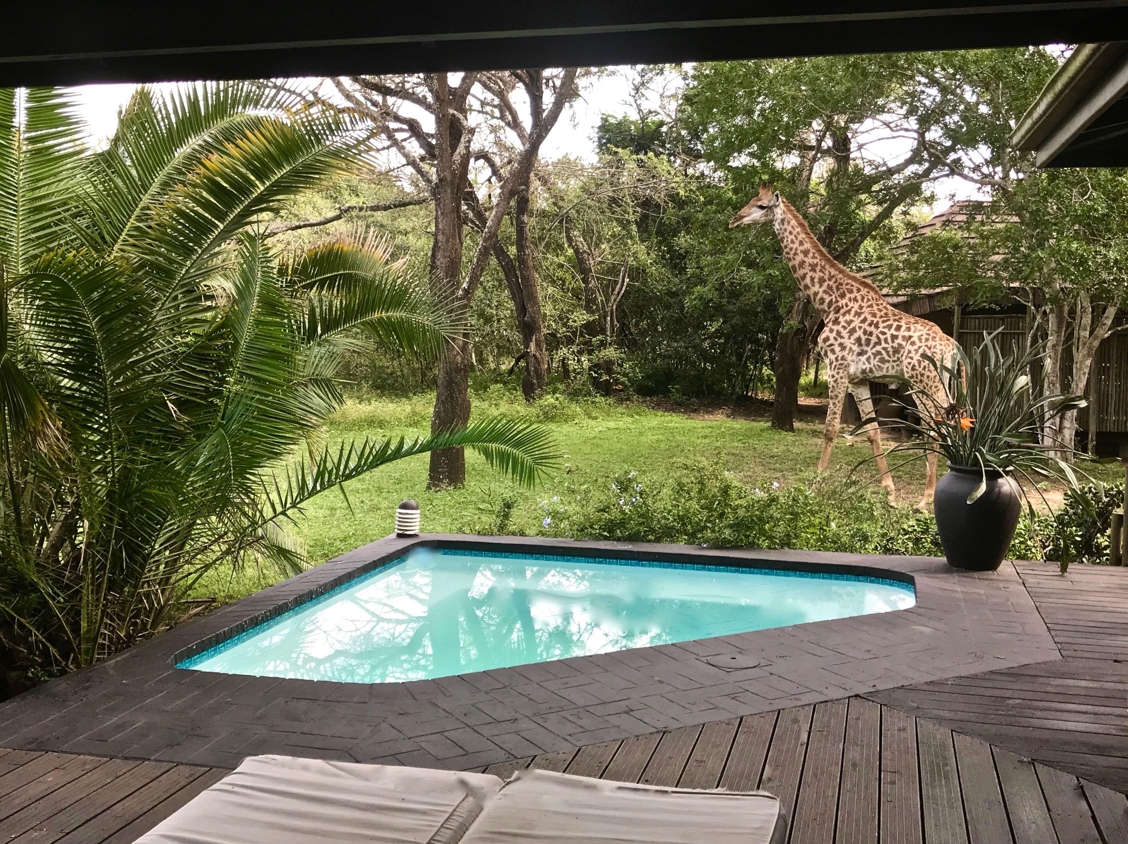 Imani Bush House | KwaZulu-Natal Specials