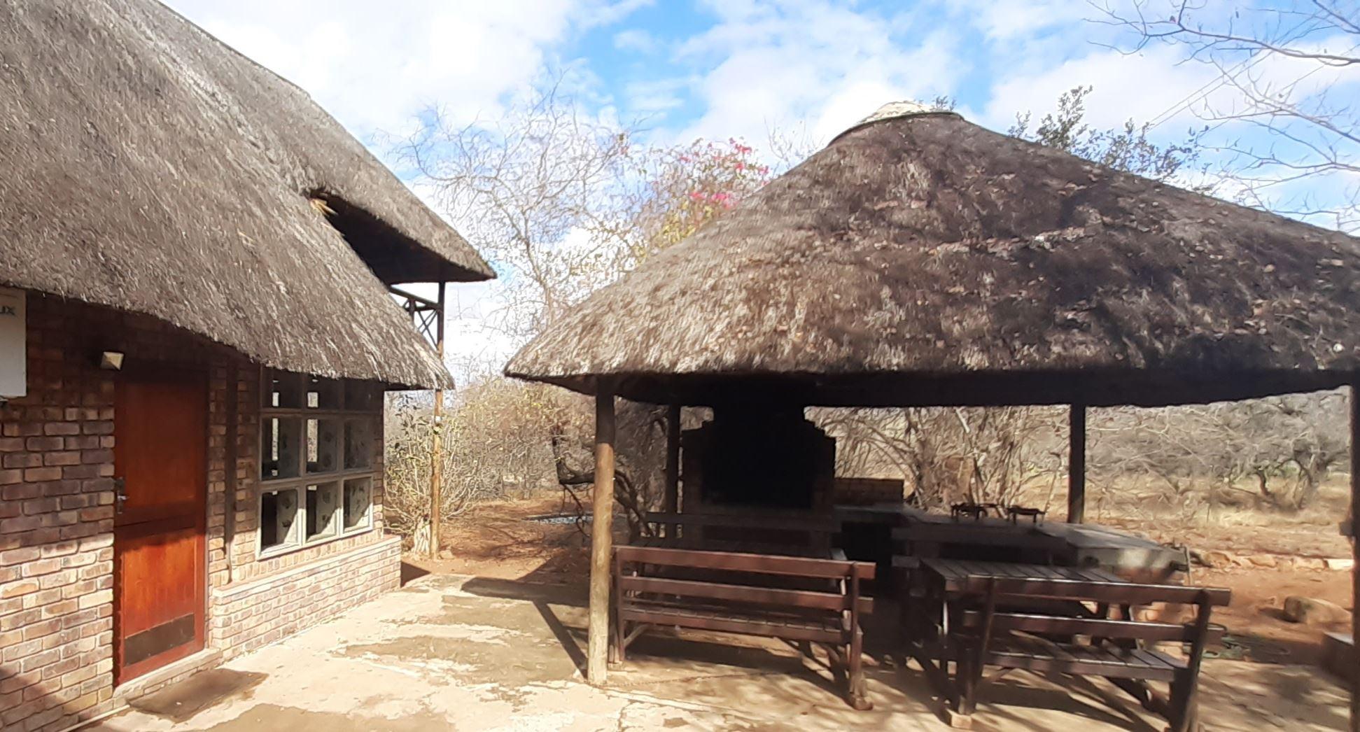 Bush Beach Jackal | Marloth Park Accommodation