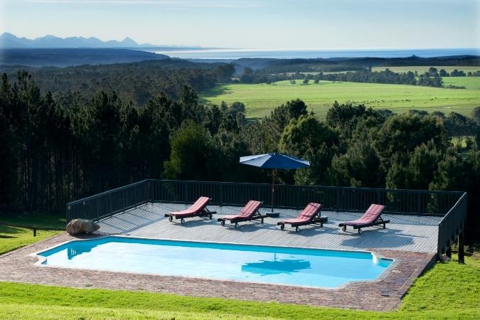Packwood Wine and Country Estate | Accommodation Harkerville
