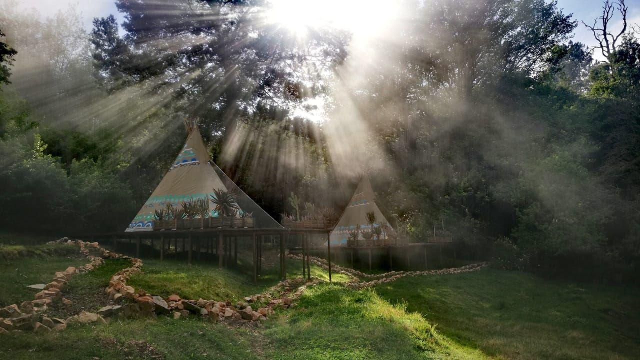 A Hog's Life | Accommodation Hogsback