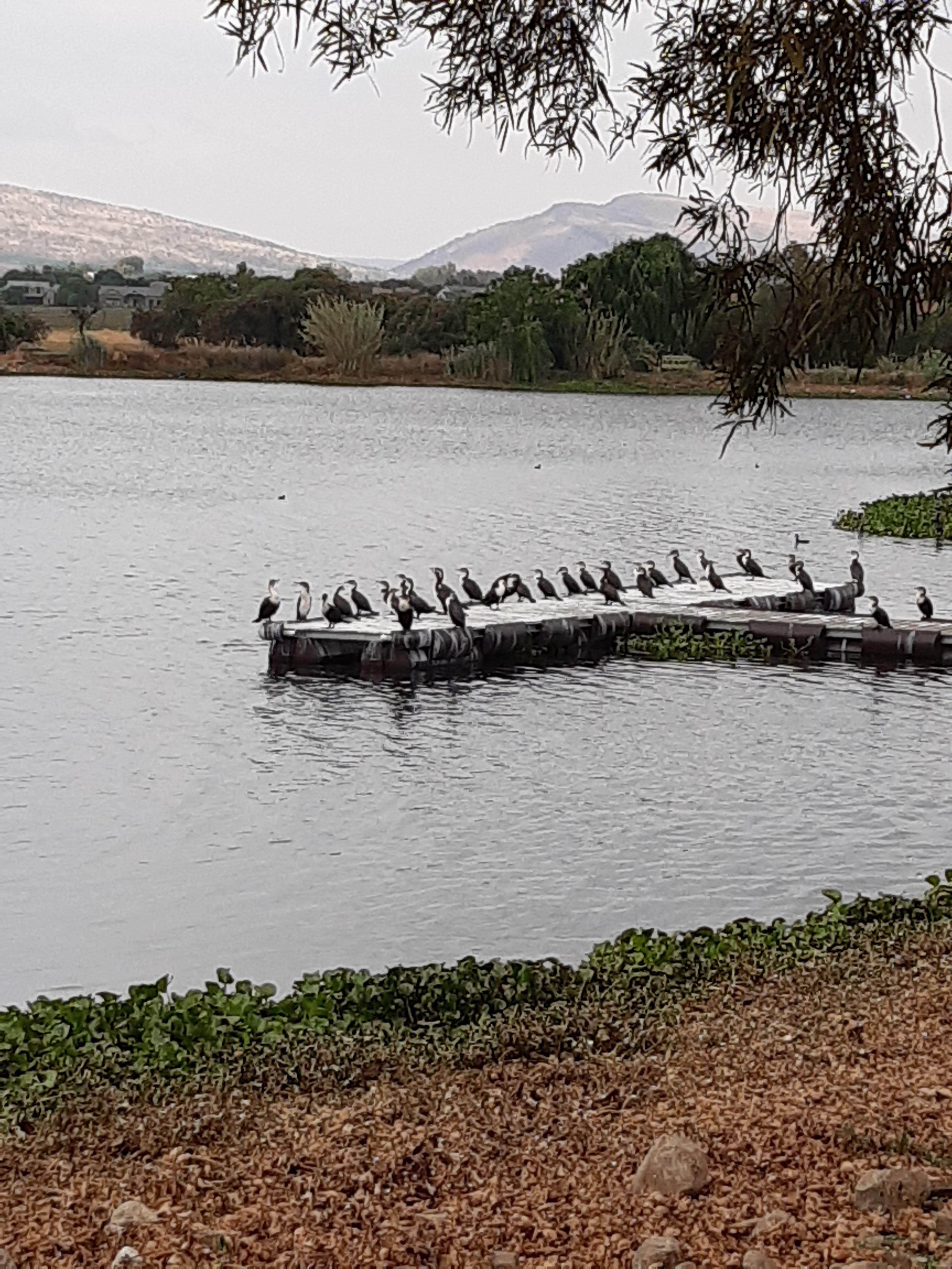 Leloko 937 | Self-catering Magalies Park