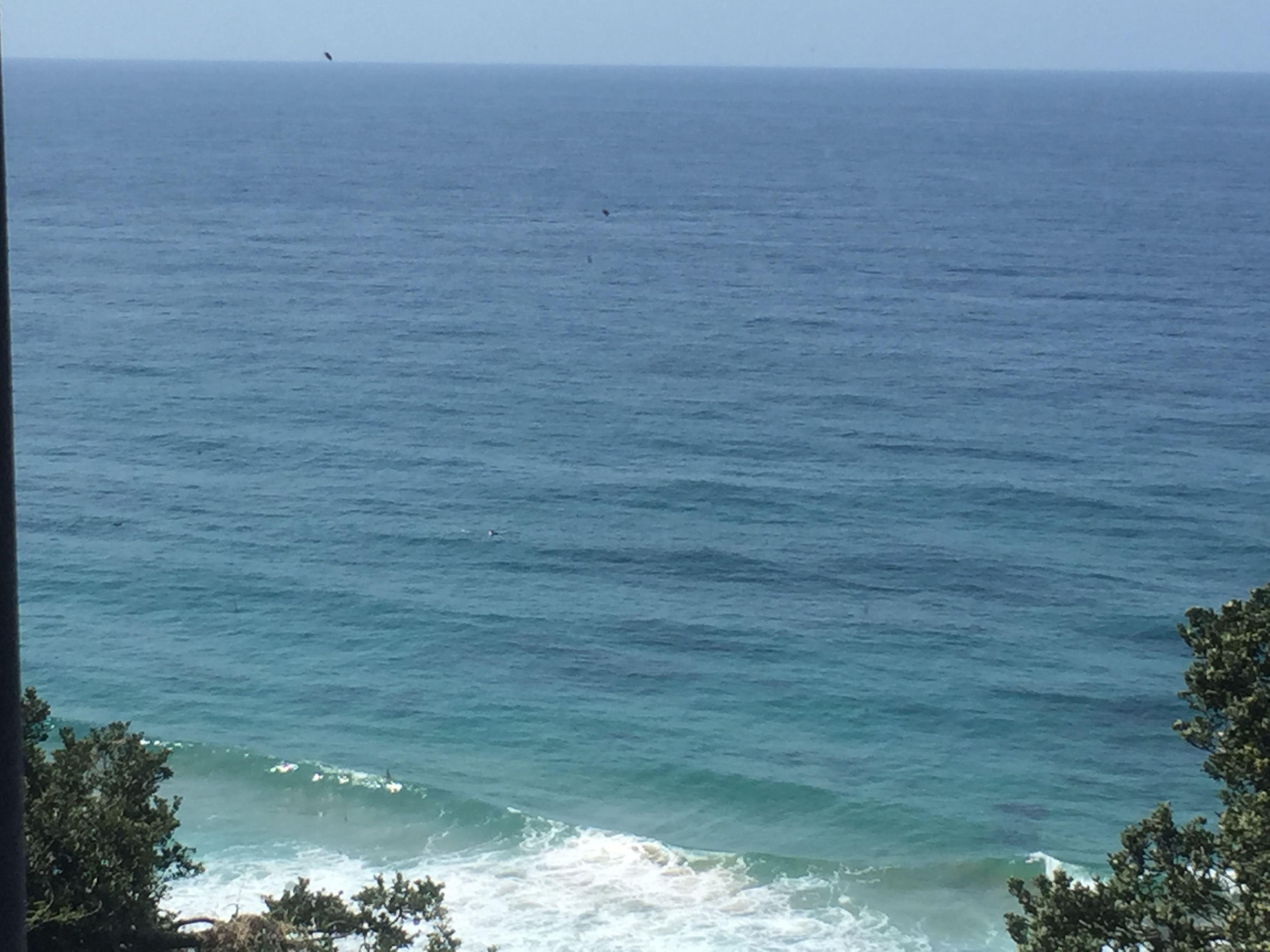 Pearl of Oysters in Umhlanga | Umhlanga Accommodation