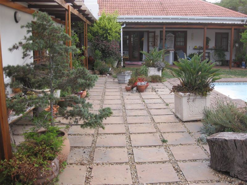 Natural garden next to the pool