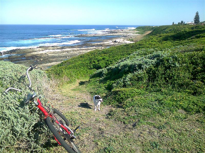 Coastal walk view