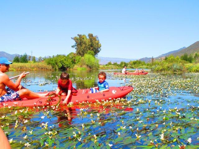 Grootfontein Camping Villages | Accommodation Citrusdal