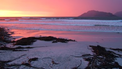Things to do in Cape Peninsula